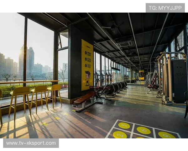 打造体育商业资讯深度解读内容服务体系，体育产业运营服务商